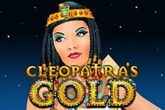 Jackpot 247 game-thumb